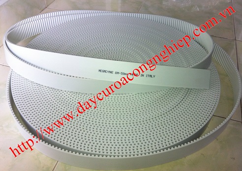 Dây Open PU 5M, 8M, 14M, S5M, S8M, S14M Megadyne